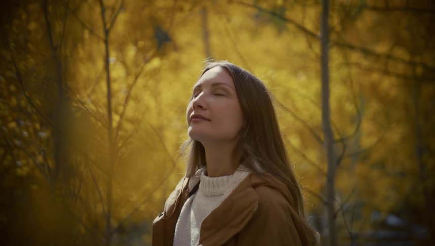 Woman looking upward among yellowleaved trees
