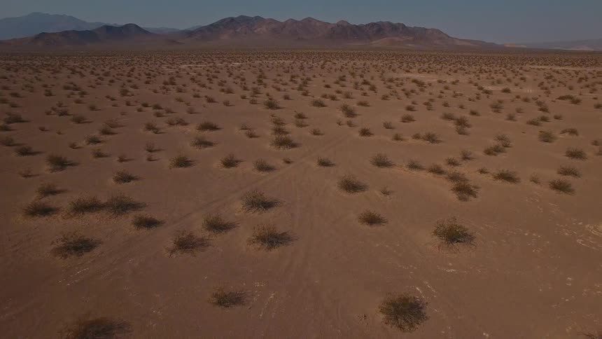 Aerial view of plants and vegetation across the desert with dunes and mountains in the distance