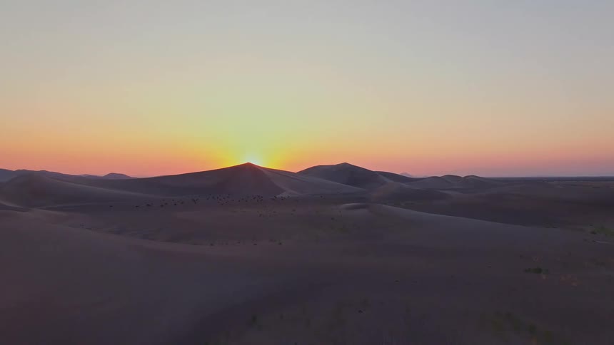 Aerial view of plants and vegetation across the desert with dunes in the distance under a sunset sky
