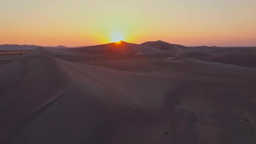 Aerial view of plants and vegetation across the desert as the sun glows over dunes in the distance