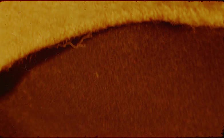 It begins with an intense warm orangebrown color and visible texture 000001the frame then quickly darkens to a deep brown 002 followed by a sudden flash to a bright almost white screen 003