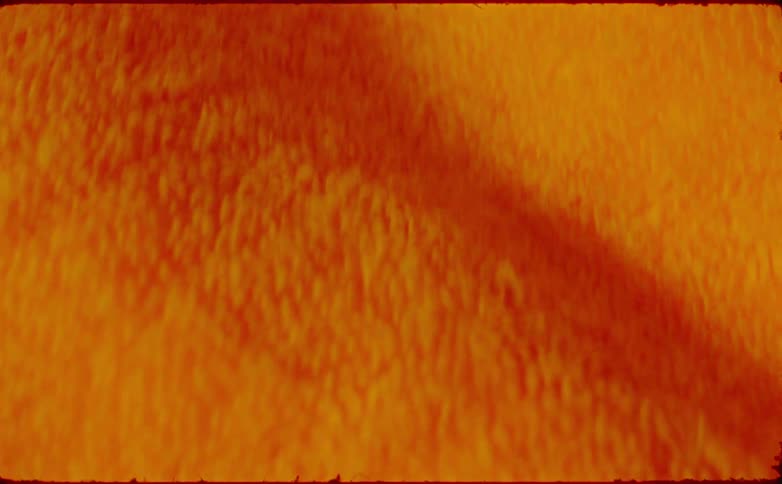 A close up view reveals the textured surface of bright orange fabric