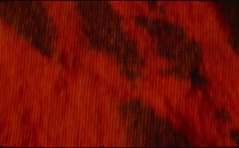 Close up of an orange coloured knitted clothing on display