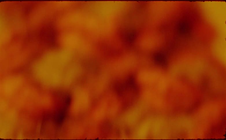 Closeup of tangled orange fibers creating an abstract textured surface