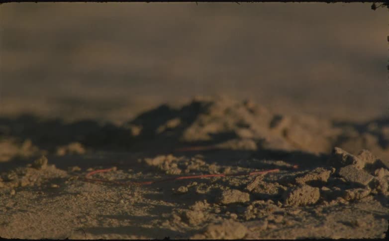 Close up of a person picking up an orange thread from the beach floor outdoors during daytime