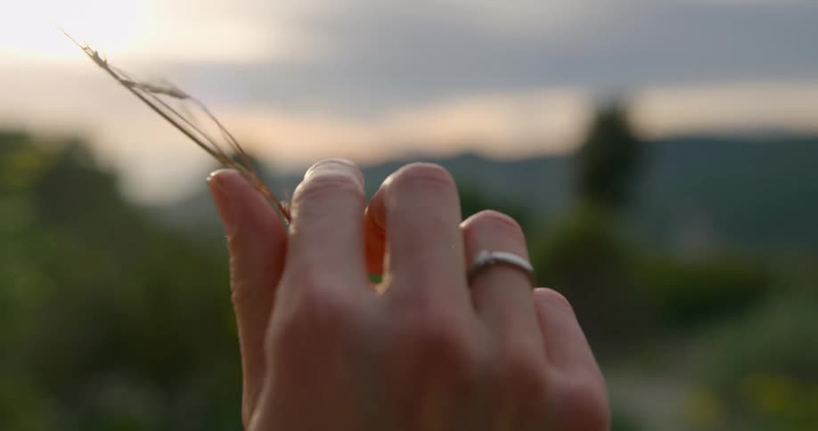 A womans right arm is shown outdoors in the woods at midday holding a small piece of a plant while wearing a silver ring