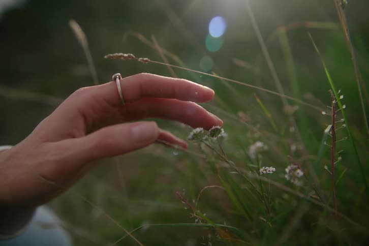 Hand gently touching small white flowers among the grass
