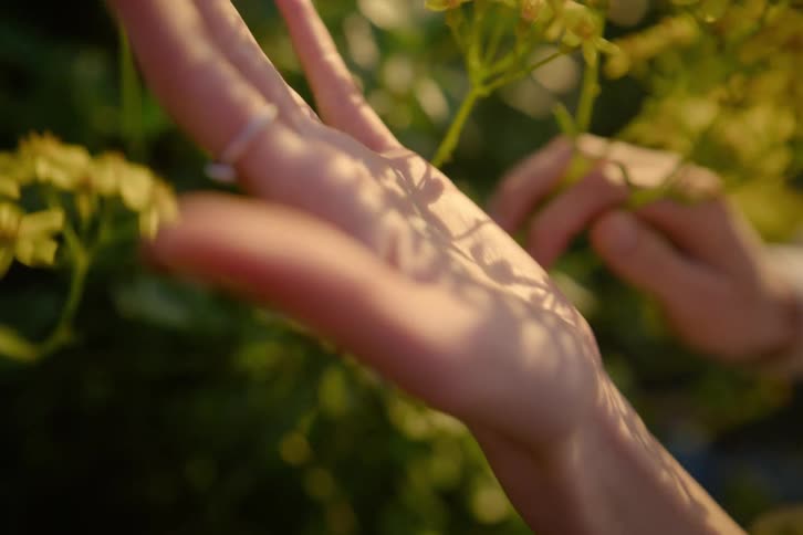Lightskinned hand with relaxed slightly spread fingers moving near small yellow flowers and green foliage lit by warm sunlight with shallow depth of field and soft background blur