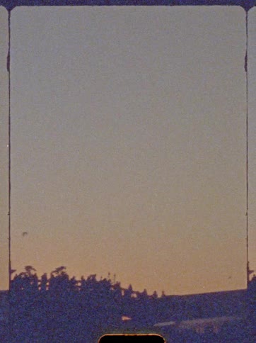 Orangetinted sunset sky above the silhouette of trees