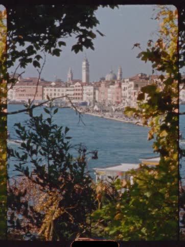 A city skyline sits along the coastline at midday viewed from beneath a line of trees whose branches frame the bright open scene