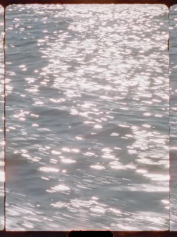 Golden reflections shimmer across rippling water surface on sunny day