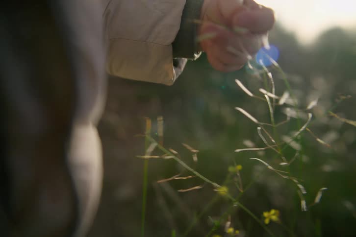 A person touching grass outdoors in a field