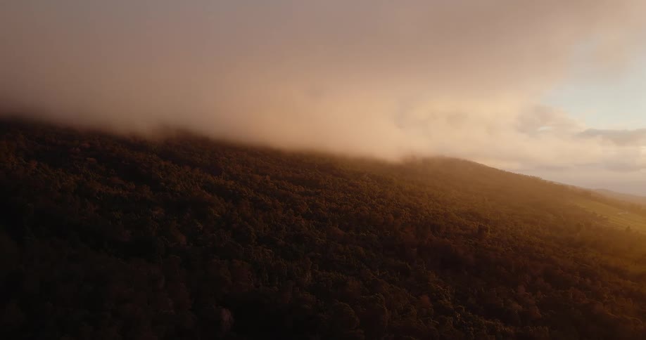 Sunlight glows through clouds hanging low over a forested mountain