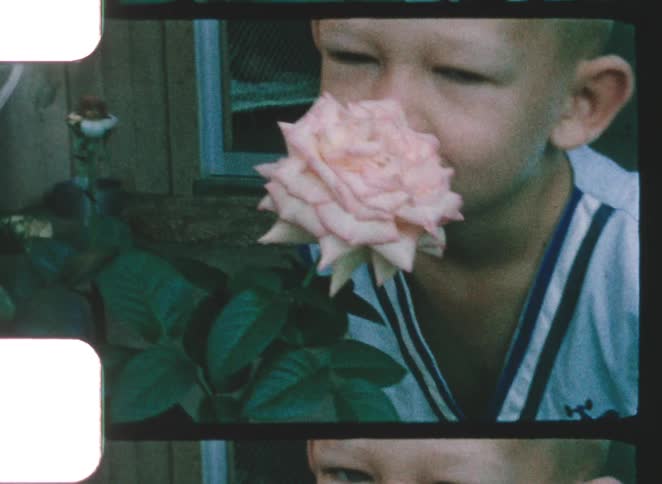 Child bringing their face close to a lightcolored rose in a garden