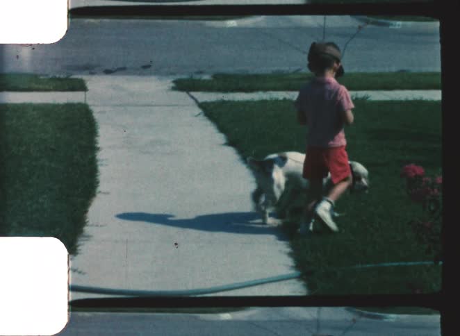 A young boy plays with his brown and white dog on a sidewalk