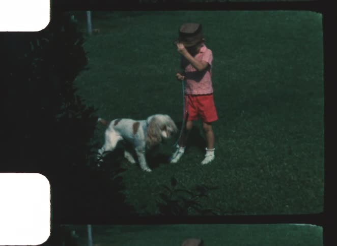 Child holding a dogs leash on a lawn