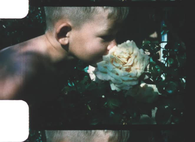A child bending to smell a flower plant growing in a backyard on a sunny day
