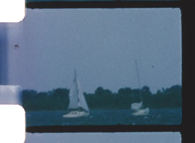 Sailboats sail side by side on lake with treelined shore in background