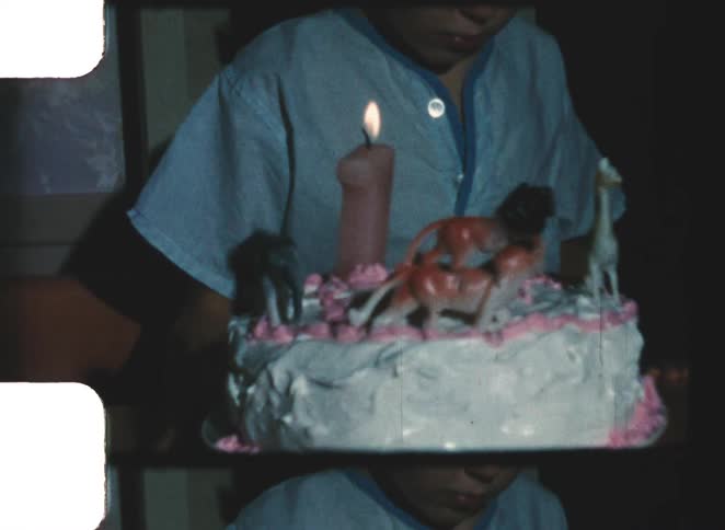 Birthday cake with jungle animal decorations and lit candle is held by person in blue shirt