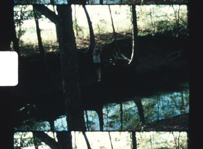 The boy swings over the creek
