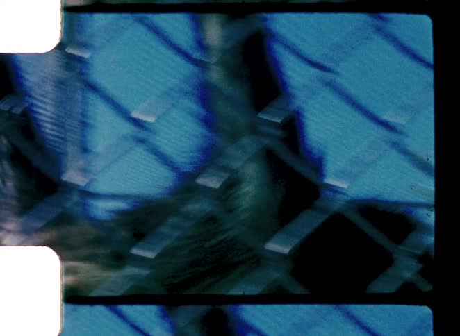 A close up of a monkey in a cage