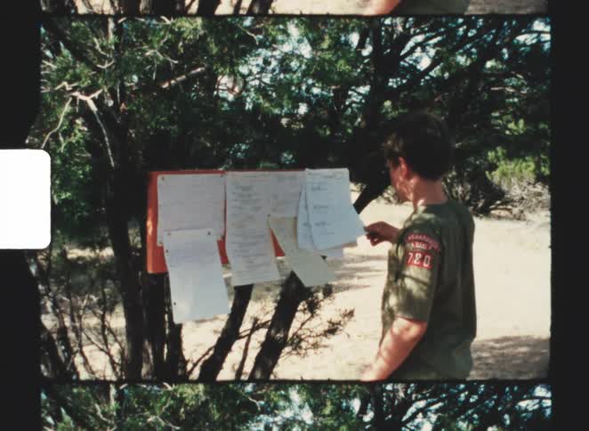 A boyscout looking at a sign on a tree