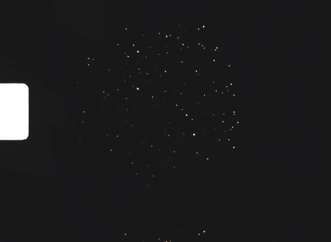 A firework explodes in the air