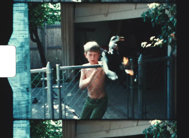 A young man in green shorts climbs over a wire fence in a backyard while holding a duck in his right hand captured in a vintage 8mm film look