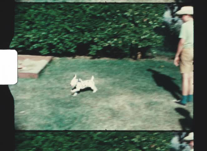 Two teenage boys one shirtless wearing only shorts and the other wearing a cowboy hat watching a puppy run on a backyard lawn on a sunny day