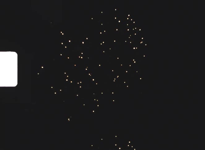 Fireworks burst in orange sparks against night sky