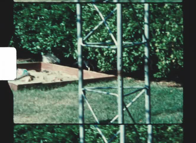 A puppy chasing a duck in a backyard near a swing while a teenage boy walks around