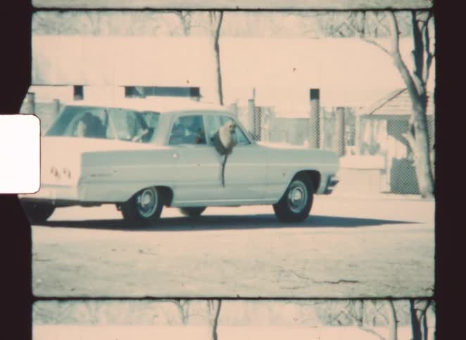 Monkey hanging from the window of a parked car in an outdoor area surrounded by buildings