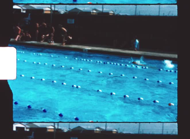 A group of kids swimming in a pool
