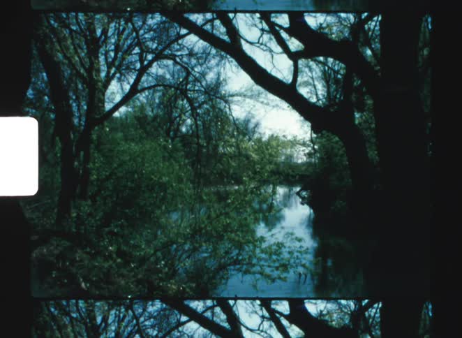 Large trees are around the lake