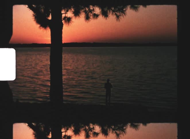 A view of a lake with a tree in the foreground
