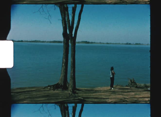A wide shot visually framed by two large tree trunks and their roots showing a woman standing near the waters edge on a clear bright day looking out at the distant shoreline