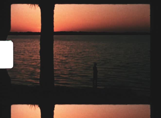 Silhouette of person between palm trees watches sunset reflected in water with orange hues