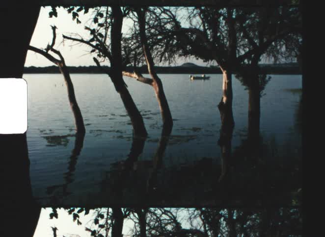 Boat with two people floats among submerged trees on calm lake