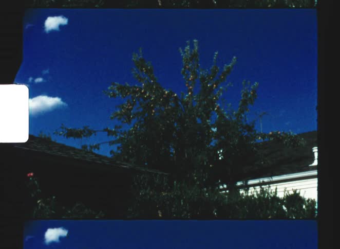 A view of a house and tree outdoors