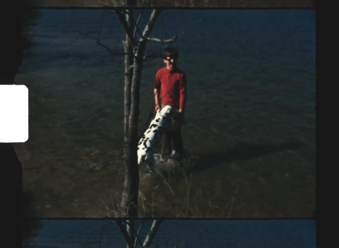 Child in shallow water interacting with a dalmatian