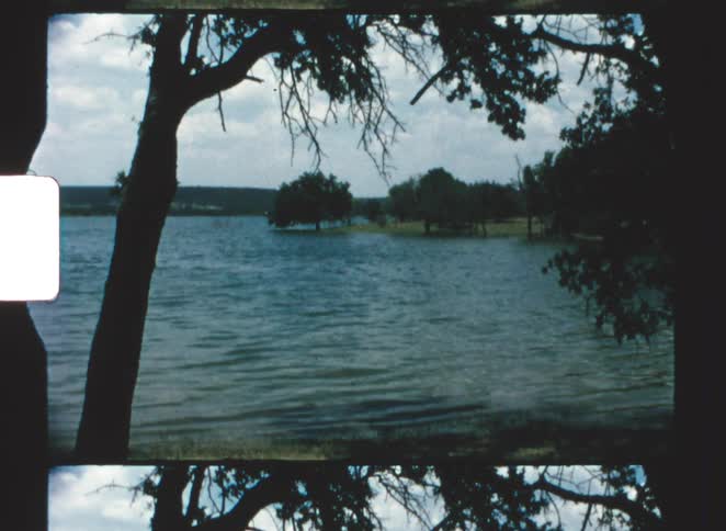 Dark curving branches of a foreground tree showing a large body of choppy water extending to a distant shoreline under a partially cloudy sky