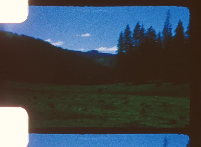 A grassland is surrounded by hills and an evergreen forest