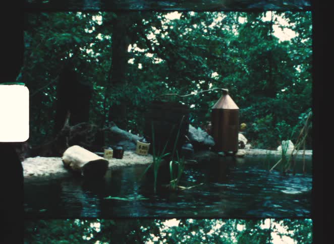 People ride past a pond and the still standing on the shore on a summer day
