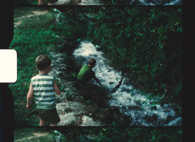 Children explore streamside surrounded by dense vegetation