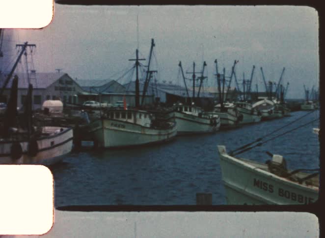 Ships docked in a harbor