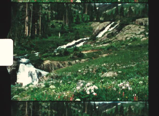 A river flows swiftly downhill nearby a forest and some mountains