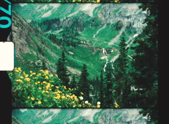 Waterfall among green mountains with yellow flowers in the foreground