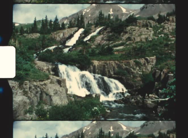 A view of a river running in a forest