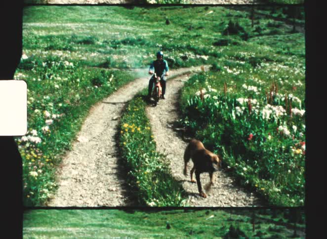 Person riding a motorcycle on a flowerlined trail with a dog running ahead