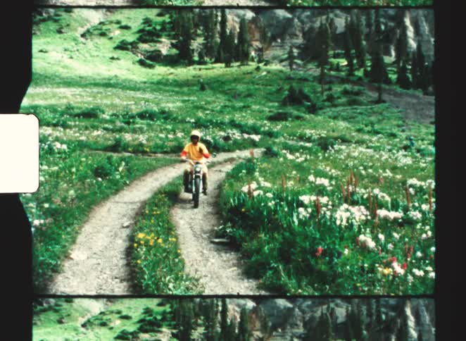 Person riding a motorcycle along a narrow trail surrounded by a flowered field in a mountainous area